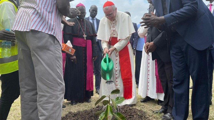 Cardinal Paroline is planting a fig tree at the Catholic University of South Sudan. 