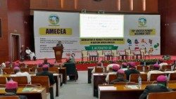 2022.07.12 AMECEA Association of member episcopal conferences in eastern africa - Laudato si