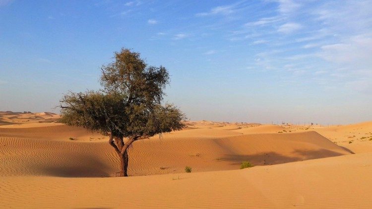 Da 50 anni la questione del Sahara Occidentale rimane non risolta completamente 