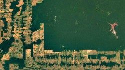 Imagen satelital que evidencia la deforestación en la Amazonia 