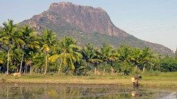 Piranmalai (Parambu), Tamil Nadu