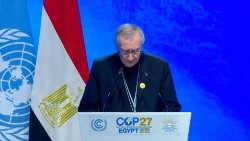 Il Cardinale Segretario di Stato interviene alla Cop27 che si è aperta ieri in Egitto
