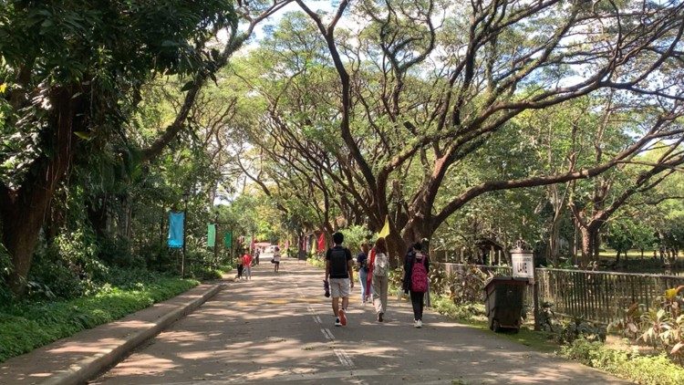 Trees shade the pavement as students walk in front of the Lake Avenue at De La Salle University, Dasmariñas (photo by LJ Abadinas)