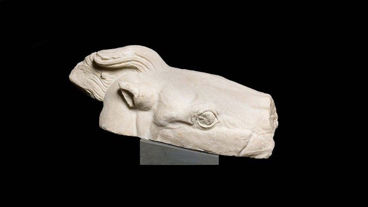 Un fragment représentant le cheval du quadrige d'Athéna.