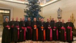 Епископите на Австрия по време на визитата им ad limina във Ватикана