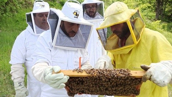 Pazienti de "Il Quadrifoglio" nel laboratorio di apicoltura