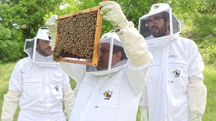 Mirko Pagliai (a destra) con due pazienti de "Il Quadrifoglio" all'opera con le api