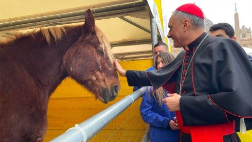 El cardenal Gambetti bendice los animales en memoria de San Antonio abad