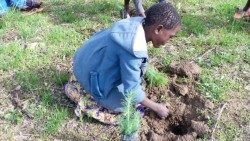 Diocese of Dedza: Children of Tsangano Parish plant trees