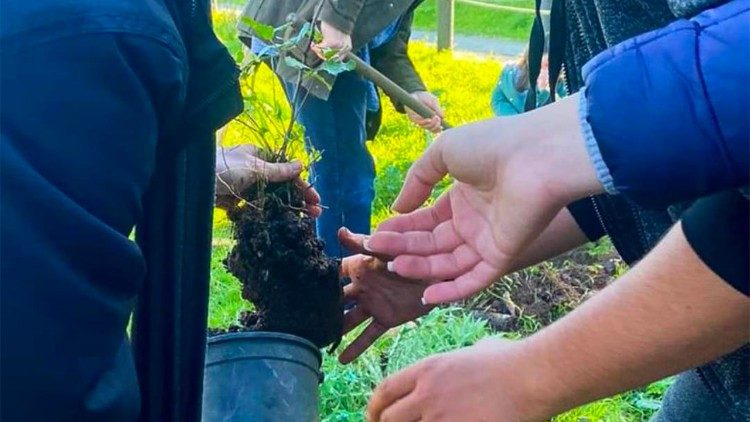 Dezenas de jovens plantaram 150 árvores, na presença do bispo do Porto, D. Manuel Linda.