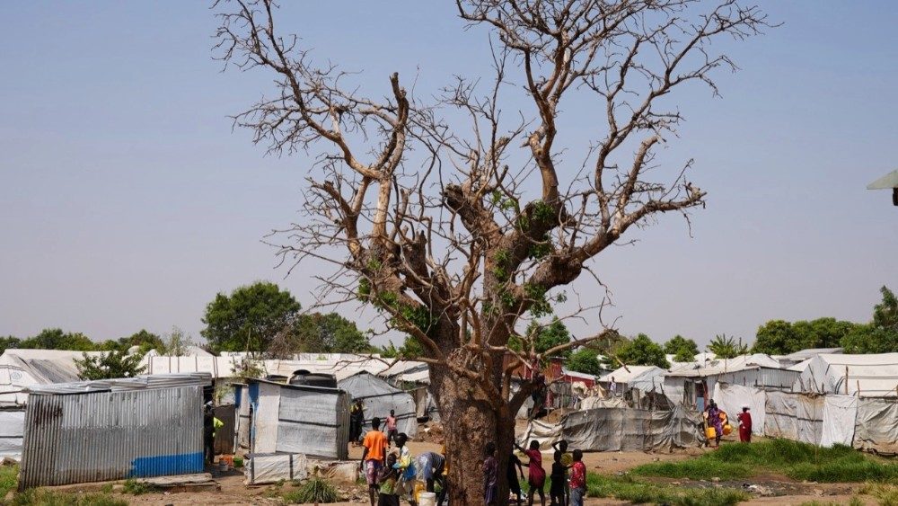 Dans un camp de déplacés, aux portes de Juba.