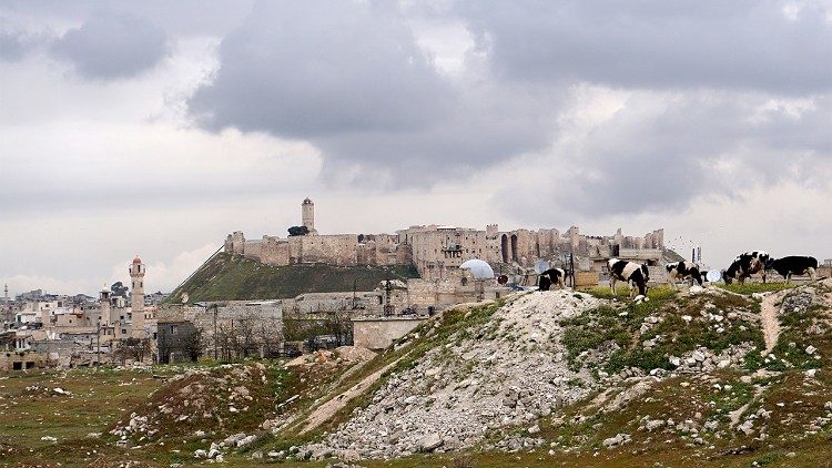 Vue sud de la citadelle d'Alep, avant le séisme du 6 février