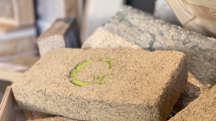 Bricks made from bamboo chips from which the bioplastic is obtained
