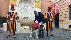 Claudio Rossetti e il cane San Bernardo Magnum in Vaticano