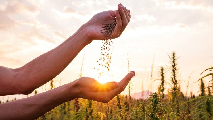 Planting seeds of hope for the planet