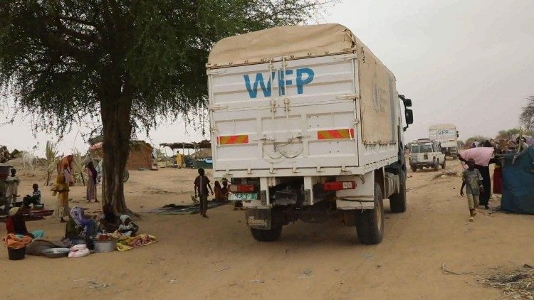 Un camion di aiuti del Wfp/Pam nel Ciad orientale, al confine con in Sudan