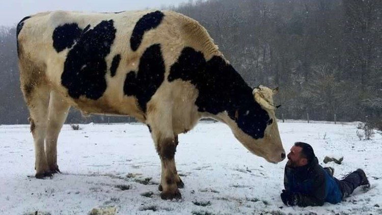 La fundación carece a menudo de dinero y el clima dificulta el cuidado de los animales, pero la Providencia nunca abandona a Ismael