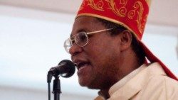 Monsignor Pierre André Dumas, biskop av Anse-à-Veau, skadad i en explosion söndagen den 18 februari. Biskopskonferensen meddelar att hans hälsotillstånd är stabilt