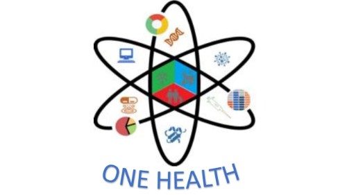 Logo del Corso di laurea "One health" dell'Università "Magna Grecia" di Catanzaro