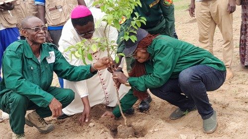 Une opération "Diocèse vert" à Maroua-Mokolo, dans le nord du Cameroun