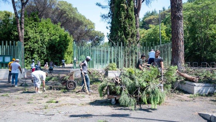 Volunteers, together with staff from Rome’s environmental waste collection service also trimmed trees