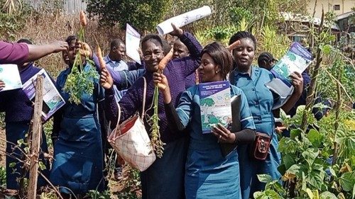 Colheita de cenouras da horta escolar no curso Laudato si' da Escola Católica de Ciências da Saúde em Shisong em Camarões