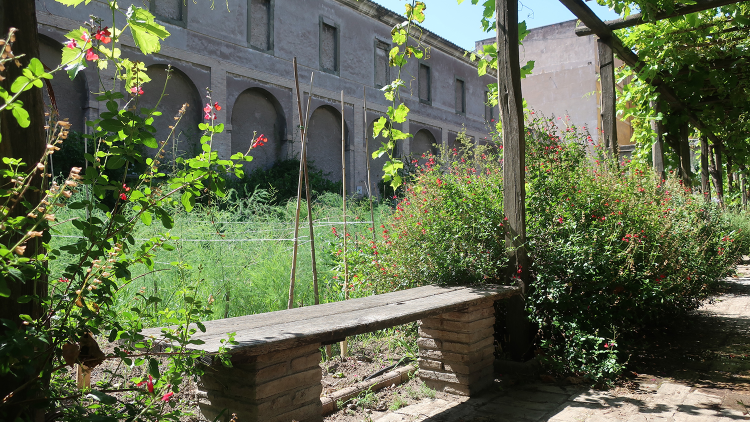 El "Jardín de los Simples" en el Monasterio de Santa Cecilia. (Foto de Anna Poce)