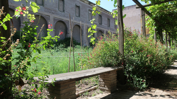 Garden of Simples in the Monastery of Santa Cecilia - Photo by A. Poce