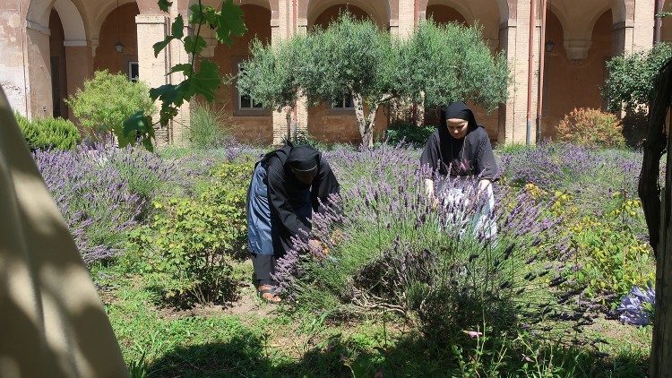 Garden of Simples in the Monastery of Santa Cecilia