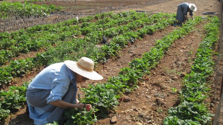 L'orto delle monache trappiste