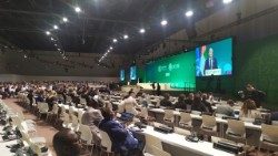 Jednání COP28 v Dubaji