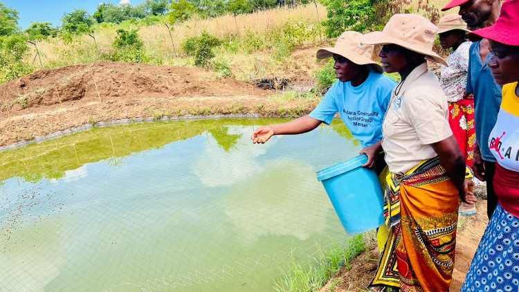Uzgoj ribe: odgovor na sušu izazvanu El Ninom u Zimbabveu