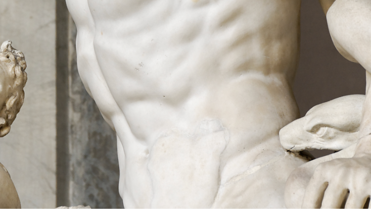 Il Laocoonte - © Musei Vaticani
