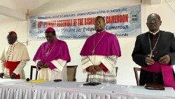 Clôture de la 49ème assemblée plénière de la Conférence épiscopale nationale du Cameroun, Yaoundé, 13 avril 2024