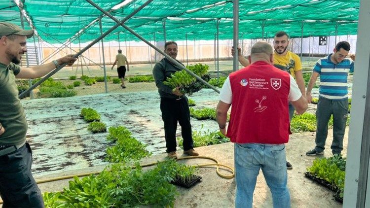 Ordine di Malta, al via un progetto agro-umanitario in Libano