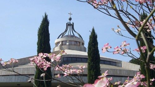 Italien: „Pfarrer für die Synode“