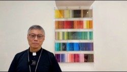 2024.02.25 Cardinale Stephen Chow, vescovo di Hong Kong