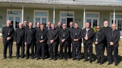 Members of the executive committees of the Episcopal Conferences of Canada, the United States and Latin America (CELAM). 