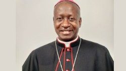 Askofu mteule Jovitus Francis Mwijage anawekwa wakfu na kusimikwa rasmi kuwa Askofu wa Jimbo Katoliki la Bukoba tarehe 27 Januari 2024.