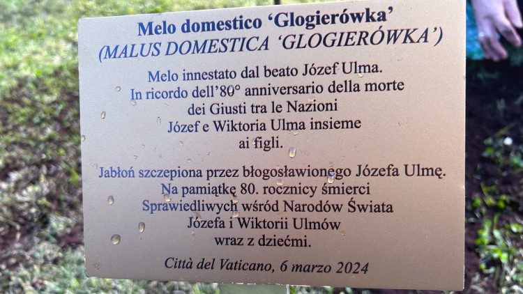 La targa per il Melo domestico Glogierówka