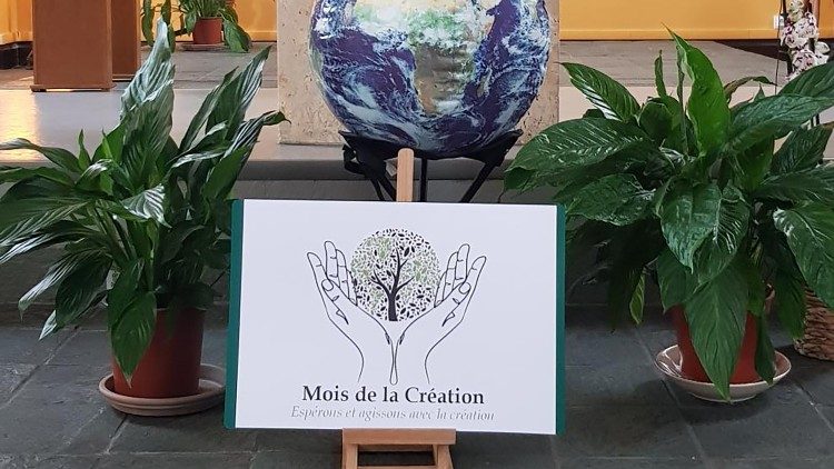 Pokret laudato si '